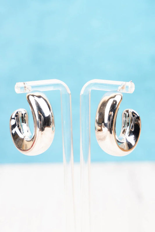 LILY KATE SILVERTONE HOOP EARRINGS